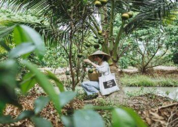 Khu du lịch Lung Tràm - Nơi kết hợp trái cây và rừng tràm độc đáo ở Cần Thơ