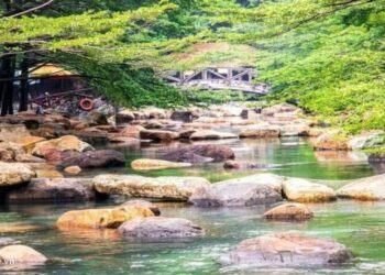 Khu du lịch Thuỷ Châu – Review chi tiết, giá vé du lịch sinh thái