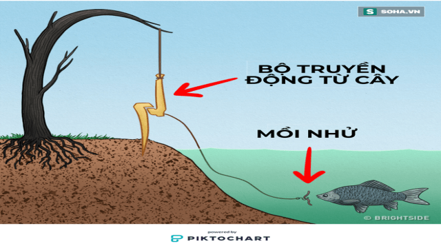 ki nang khi di choi da ngoai