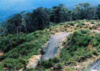 [TOP 10+] Kinh Nghiệm Du Lịch Hòn Bà - Nha Trang Siêu Chi Tiết!