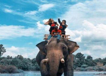 Kinh nghiệm du lịch Tây Nguyên tự túc, tiết kiệm nhất