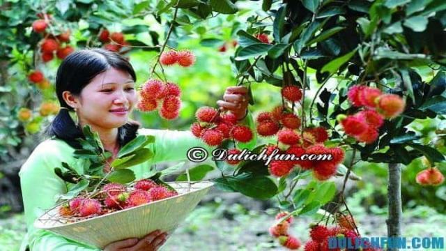 Vườn trái cây Lái Thiêu