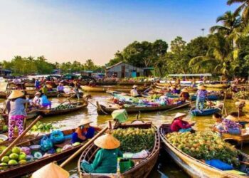 Ngành Du Lịch Sinh Thái học gì? Mức lương và Cơ hội việc làm sau tốt nghiệp