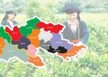 Vùng du lịch là gì ? Đặc điểm 7 vùng du lich Việt Nam