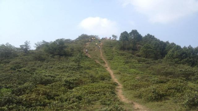 Núi Hàm Lợn