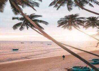 Kinh nghiệm du lịch Mũi Né tự túc 2 ngày 1 đêm