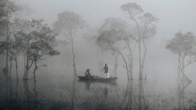 Vẻ đẹp ma mị của Suối Tía