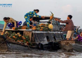 Tour Chợ Nổi Cái Răng - Khu Du Lịch Cồn Sơn