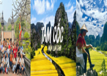 Du lịch Hoa Lư – Tam Cốc trong 1 ngày: Tìm hiểu về vùng đất Cố đô và Vịnh Hạ Long Trên Cạn