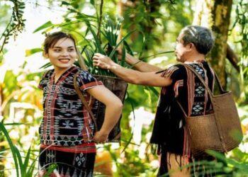 Tour A Lưới 2N1D – Khởi hành từ Huế