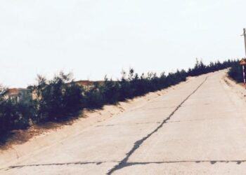 Tour du lịch Kỳ Co (Quy Nhơn) CHI TIẾT Nhất