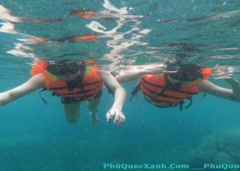 Kinh nghiệm lặn biển Phú Quốc ngắm san hô