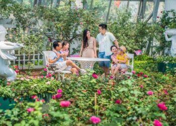 Gợi ý lịch trình du lịch Vinpearl Nha Trang 1 ngày HỢP LÝ nhất, VUI VẺ nhất