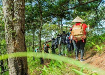 Những địa điểm trekking lý tưởng ở Việt Nam