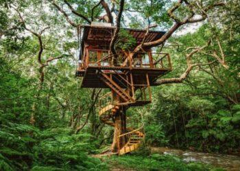 Top các mô hình homestay thu hút khách nhất hiện nay